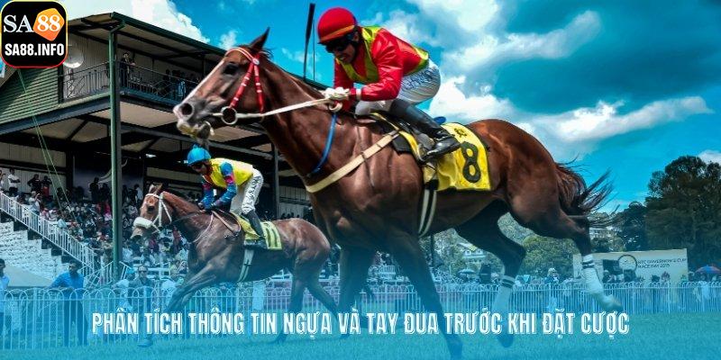 Phân tích thông tin ngựa và tay đua trước khi đặt cược