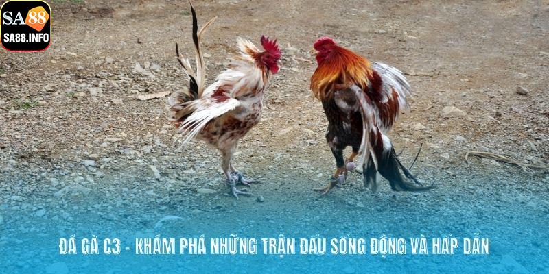 Đá gà C3
