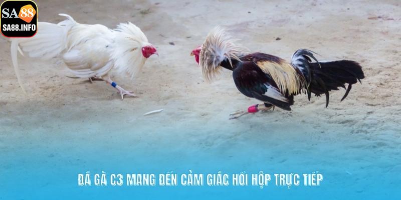 Đá gà C3 mang đến cảm giác hồi hộp trực tiếp
