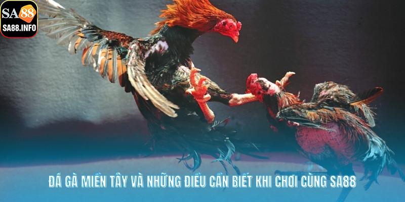 Đá Gà Miền Tây